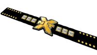 NXT Championship (2012-2017)