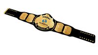 WWE 'Winged Eagle' Championship