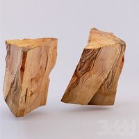 Birch trunk 1