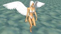 Centaur’s – Pixies – Anjel Jess - White bird wings - The Lost files