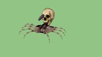 Skull and face hugger - skull carrier
