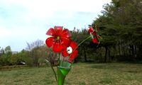 Alive flower 3D Model