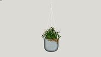 PLANT3