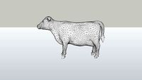 Low Poly Cow