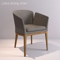 lotus dining chair