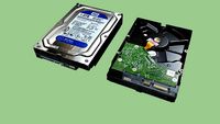 WD Blue 1.0TB PC Hard Drive - High Polygon