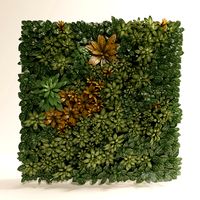 Фитостена, фитомодуль из тропических растений