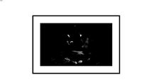 Obra Fotográfica número 13702131d