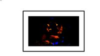 Obra Fotográfica número 13702131a