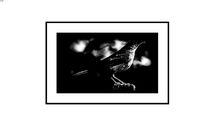 Obra Fotográfica número 13702129d