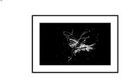 Obra Fotográfica número 13702126d