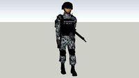 policia estatal investigadora del estado de sinaloa