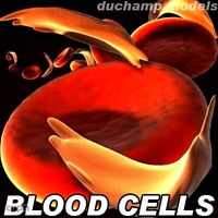 Blood Cells. Classic and Sickle Anemia version3d model