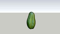 Chuchu - Chayote - Mirliton - Sechium edule