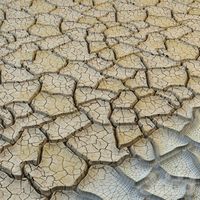 Растрескавшийся грунт