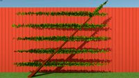 English trellis Seabrook Espalier 3d