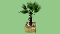 Vaso moderno com planta