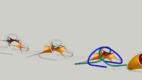 double open rings and hypars