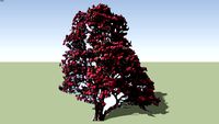 Rhododendron Tree Pink Bloom face me component