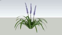 Liriope Grass Variation 2D_Cutout
