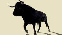 TORO DE LIDIA
