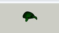 turtle for presley in mr.webers class