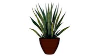 Agave in Round Planter by International Treescapes, LLC