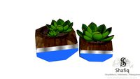 Vaso de Suculentas 04