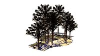S5 MEMORY FOREST