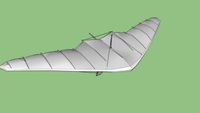 paraglider