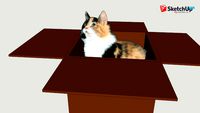 Wms ~ Kitty in a Box