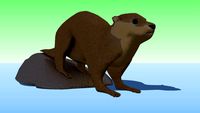 Otter