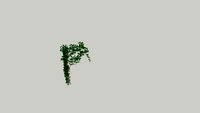 vegetacion