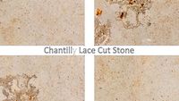 Buechel Stone Chantilly Lace Cut Stone - Architectural Stone for Cut Stone Details 5x5 in.skp