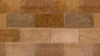 Buechel Stone Chestnut Stone Panels - Architectural Full Stone Veneer and Stone Panels Masonry 6x6