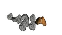 rock