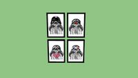 Composição de quadros/posters para parede 4 Prints Divertidos 'Vida de uma Preguiça' - Renato Sette