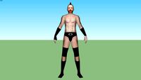 Sheamus O'Shaunessy(Stephen Farrelly)