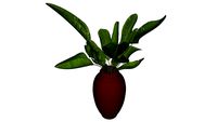 VASO ALTO VEGETAÇÃO INTERNA