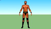 Bobby Roode(Robert Roode Jr.)