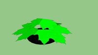 Escenario con carpa de hoja de arce, stage with maple sailcloth on top