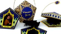 Chocolate Frog- Harry Potter
