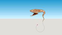 Gulper Eel