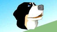 puppy head