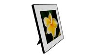 Plumeria Flower Photo (on desk) - Photo Bunga Kemboja