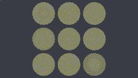 PHYLLOTACTIC SPIRAL VARIATIONS V2