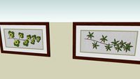 Paintings