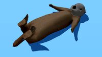 Sea Otter