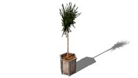 OLIVIER ALPILLES, maisons du monde, ref 138653, prix 149,90
