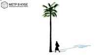 Low poly 3d tree palm (072)